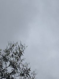 raining. - IV