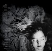 Akira Rabelais - Eisoptrophobia