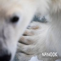Nanook - Ilutsinniit Apuussilluta