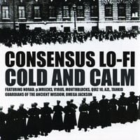 Consensus Lo-Fi - Cold and Calm