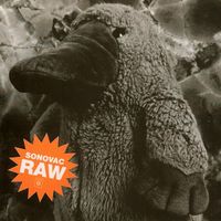 Sonovac - Raw