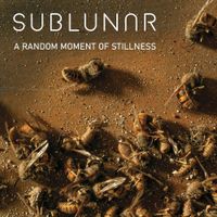 SubLunar - A Random Moment of Stillness