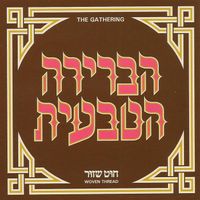 הברירה הטבעית [Habrera Hativeet] - חוט שזור [Woven Thread]
