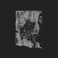 SHXCXCHCXSH - Word
