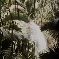 𝙑𝙃𝙎 𝙏𝘾𝙍 - TCR 00 02