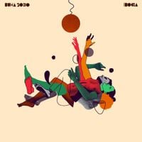 BUHA 2030 - Iboga