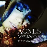 Agnes - Got Me Good (Bassflow Remake)