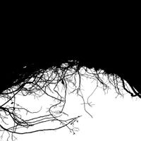 Richard Chartier - Variable Dimensions