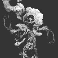 Our Earth Is A Tomb - Flowers of Faith / / Dregs of Black
