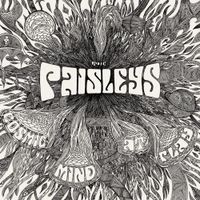 The Paisleys - Cosmic Mind At Play