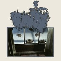 Phyllomedusa - It's Foul Out Here