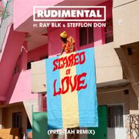 Rudimental - Scared of Love