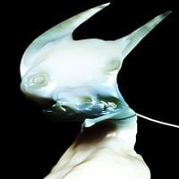 Arca - Wound / Sad Bitch