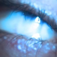 Arca - Front Load