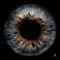林宥嘉 [Yoga Lin] - Apples of Thy Eye