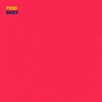 Pond - Daisy