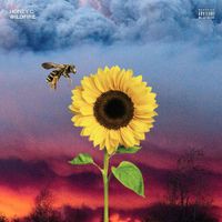 Honey C - Wildfire