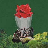 Saint Mela - first bloom