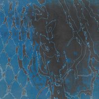 Giovane Feddini - ACQUARIO