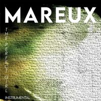Mareux - The Perfect Girl (Instrumental)