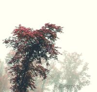 Nulllingroots - Nullingroots