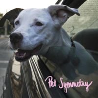 Pet Symmetry - Two Songs About Cars. Two Songs with Long Titles.