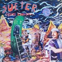 Suéter - Misi&oacute;n Ciudadano I
