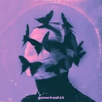 gamertrash14 - Butterfly Effect