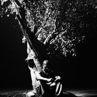 Khamari - Sycamore Tree