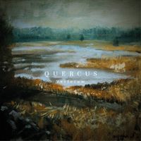 Quercus - Verferum