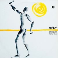 Priscilla Ermel - Tai Chi - Gestos de equil&iacute;brio
