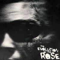 Lil Skies - The Evolution of the Rose