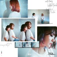 BOL4 - Red Diary 'Hidden Track'