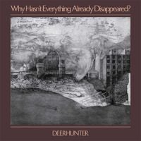 Deerhunter - Plains