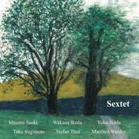 Minami Saeki / Wakana Ikeda / Yoko Ikeda / Taku Sugimoto / Stefan Thut / Manfred Werder - Sextet