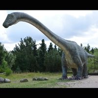 Paleobiota - 🦕