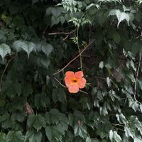 sangm1ee - everything has changed