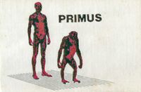 Primus - Primate