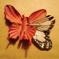 Essie Jain - We Made This Ourselves