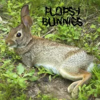 Flopsy Bunnies - Bunnies Frolicking in a Meadow