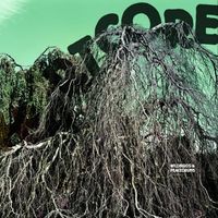 Wildbirds & Peacedrums - Heartcore