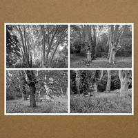 Karen Vogt - Haunted Woodland, Volume Five