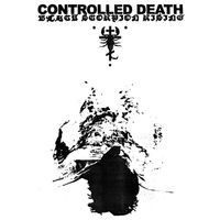 Controlled Death - Black Scorpion Rising