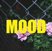 HASAMI Group - MOOD