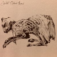 With Open Arms - Demo