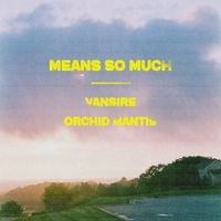 Vansire - Means So Much