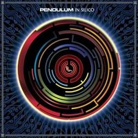 Pendulum - In Silico