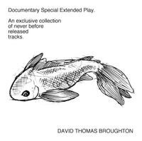 David Thomas Broughton - Documentary Special