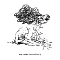 Mchy I Porosty - The Dead Pterodactyl