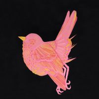 Bad Luck Pearl - The Weight of My Head